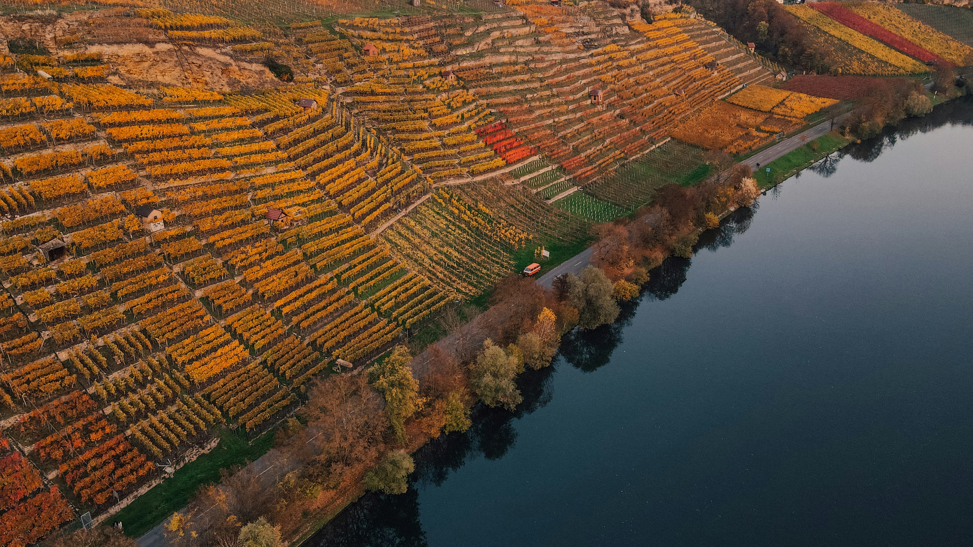 aerial view of brown and green field beside body of water during daytime