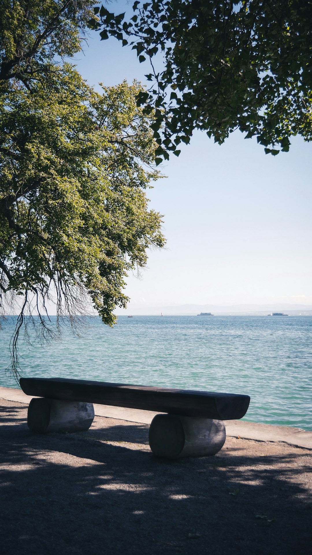 green tree near body of water during daytime