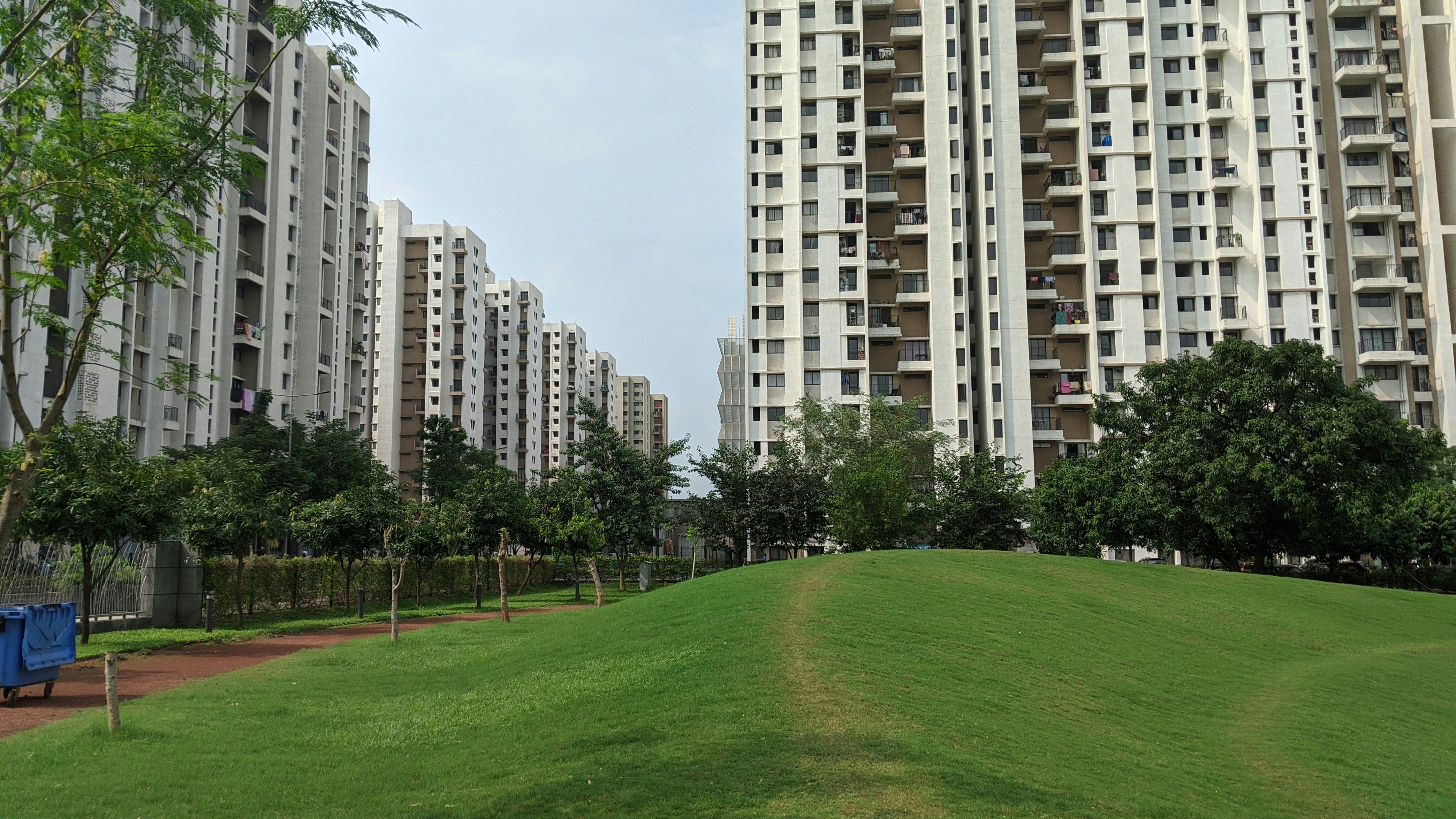 Luxury apartment with park view showing modern balcony overlooking lush green national park landscape