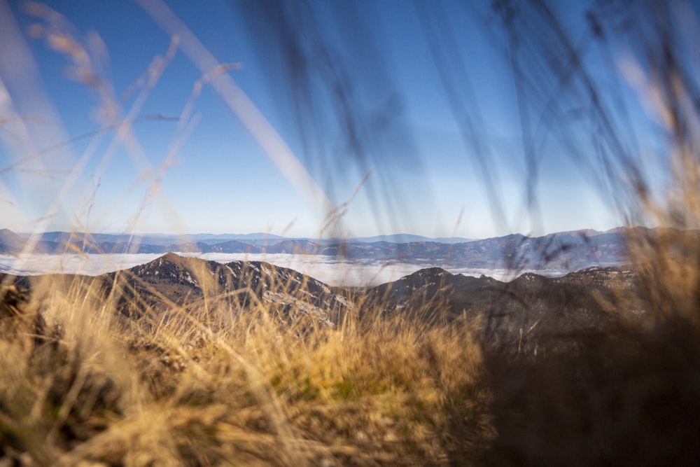 brown grass field near mountain under blue sky during daytime