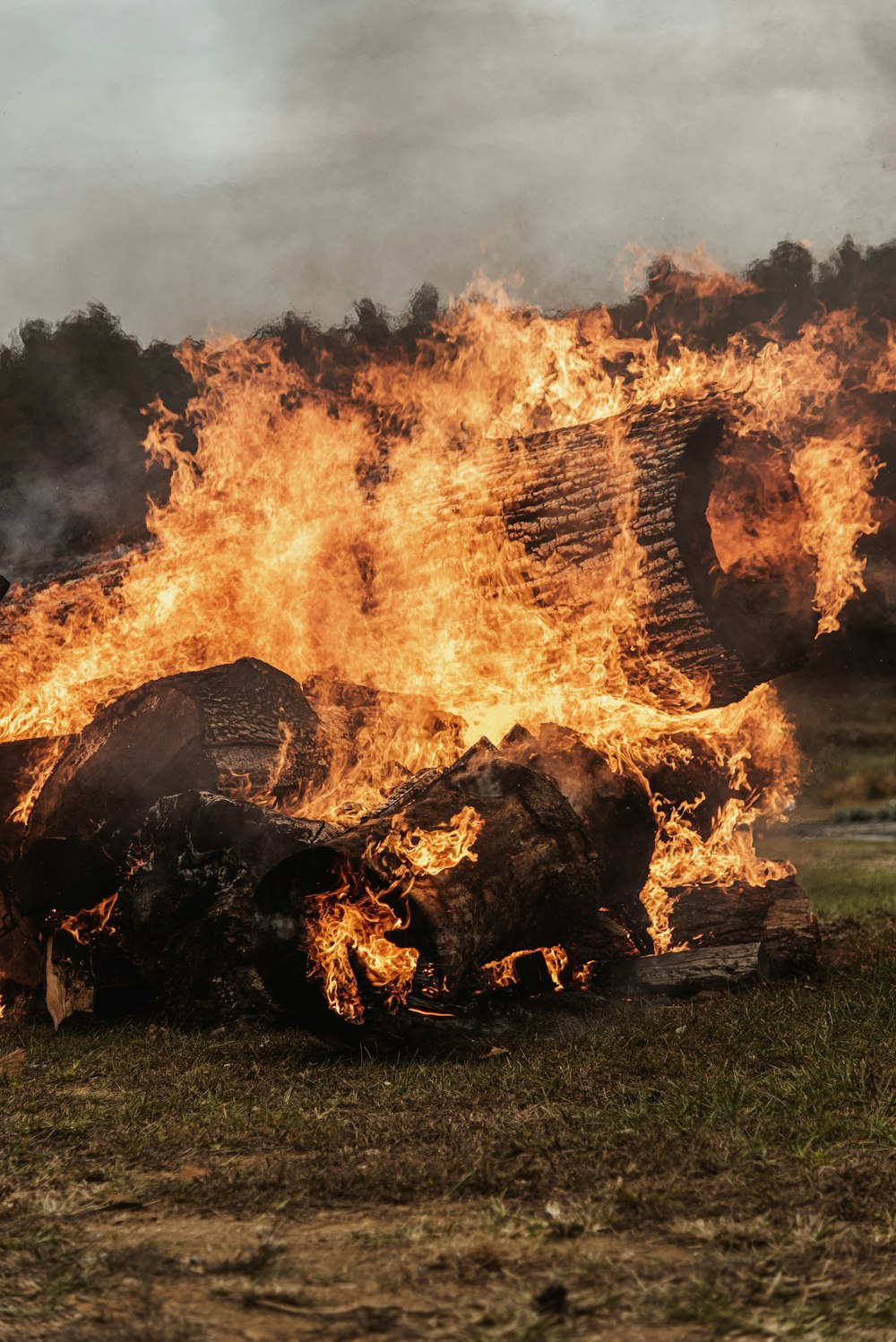 Braunes und schwarzes Feuer auf grünem Rasenfeld