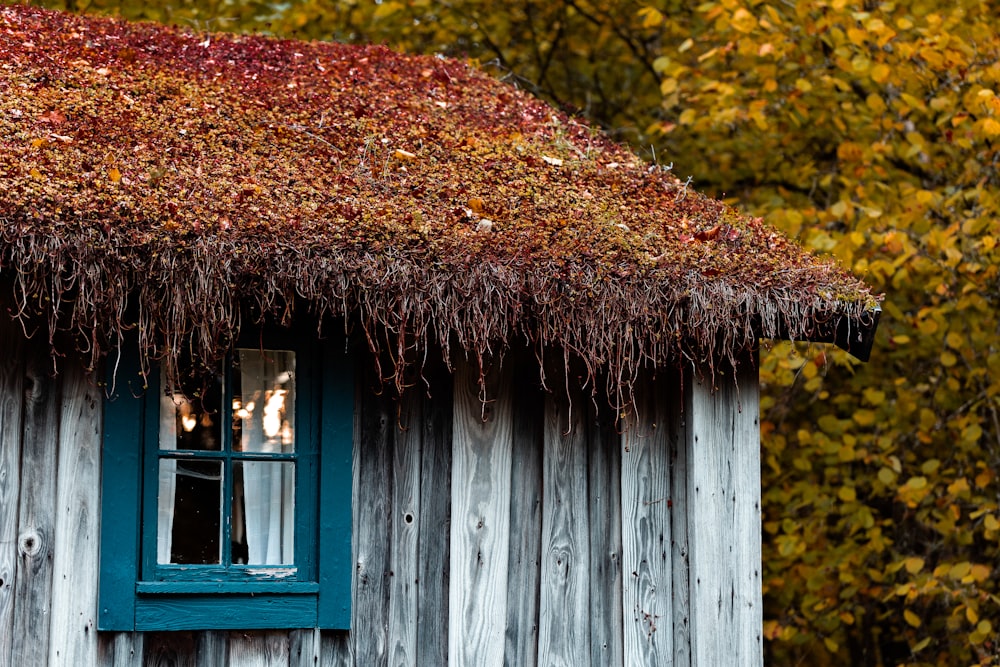 brown and blue wooden house near green trees during daytime