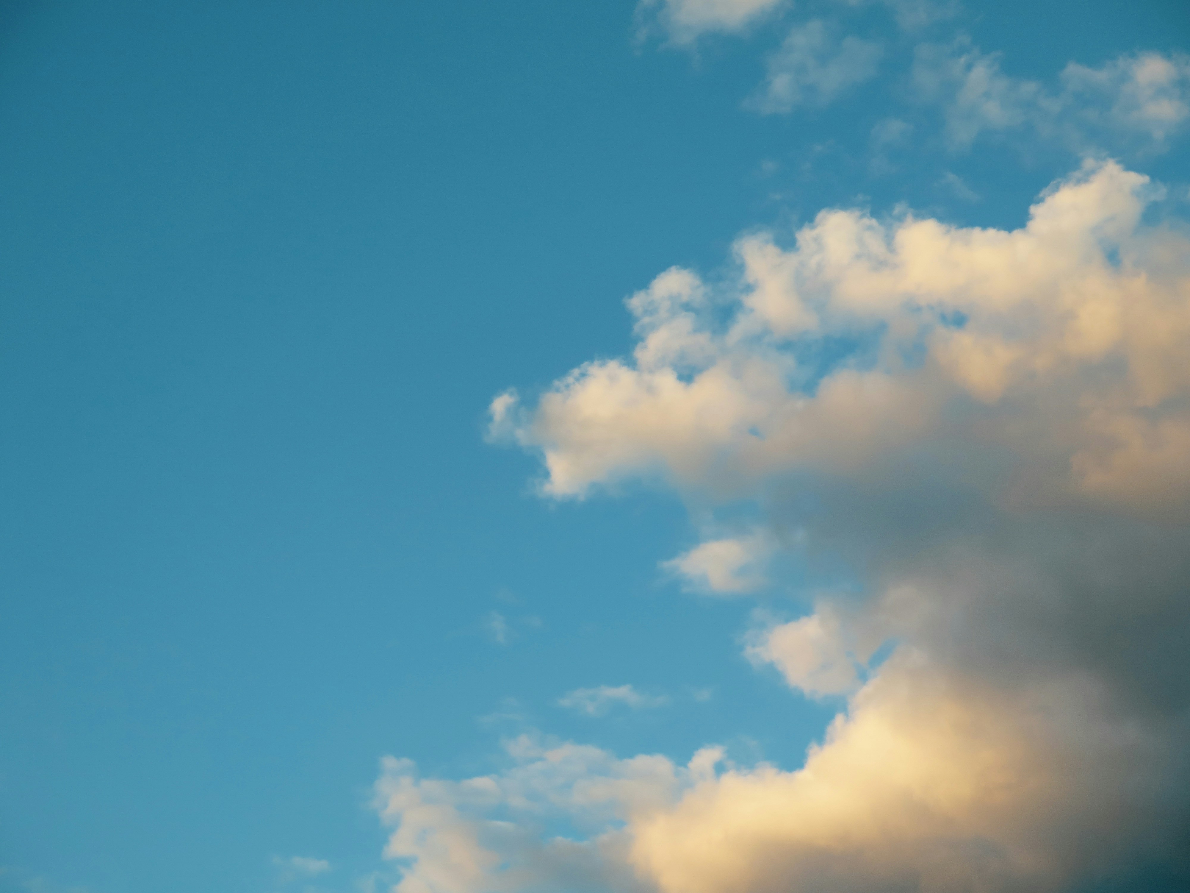 Photo by nao_takabayashi