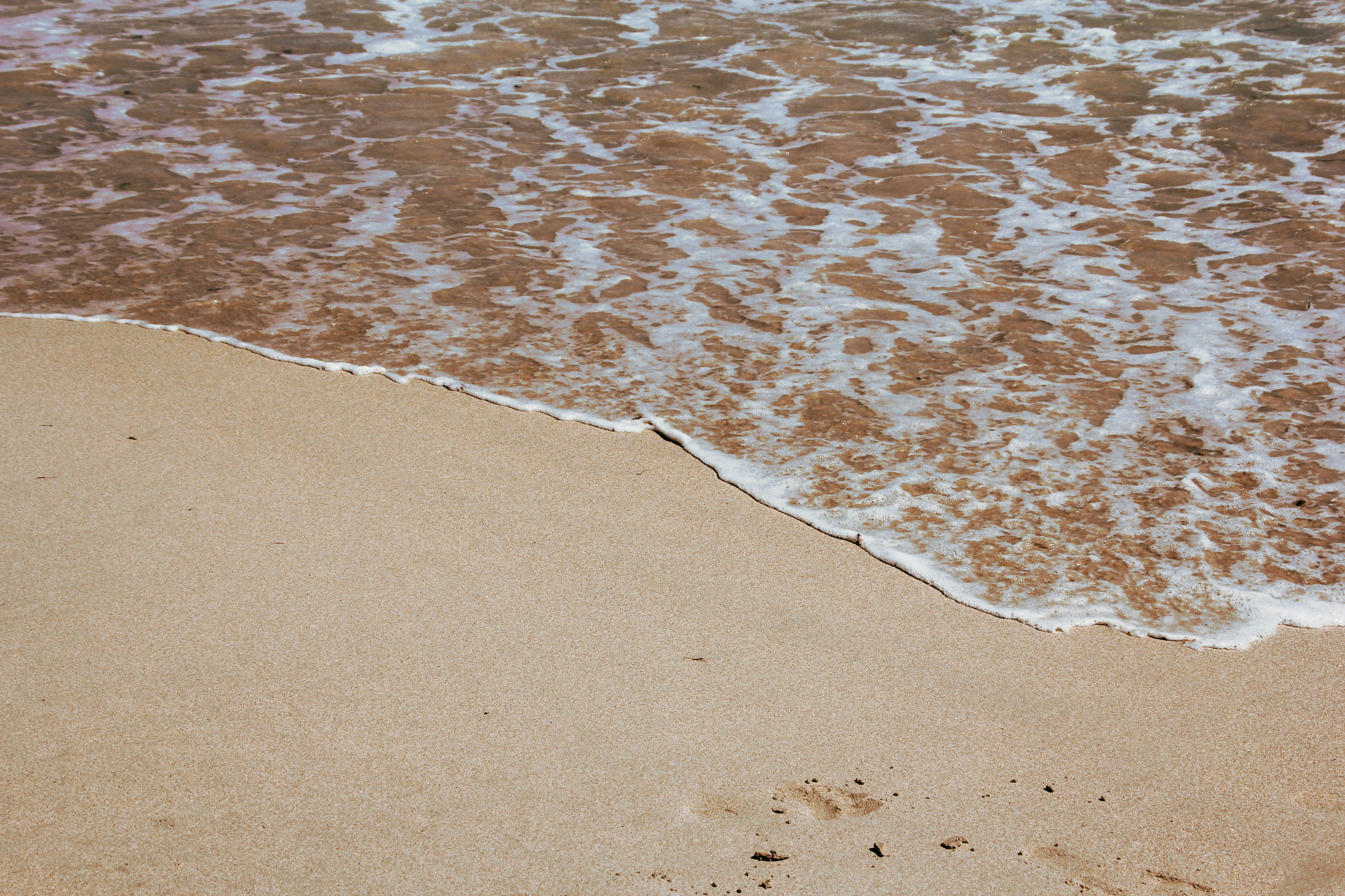 Photo by nao_takabayashi