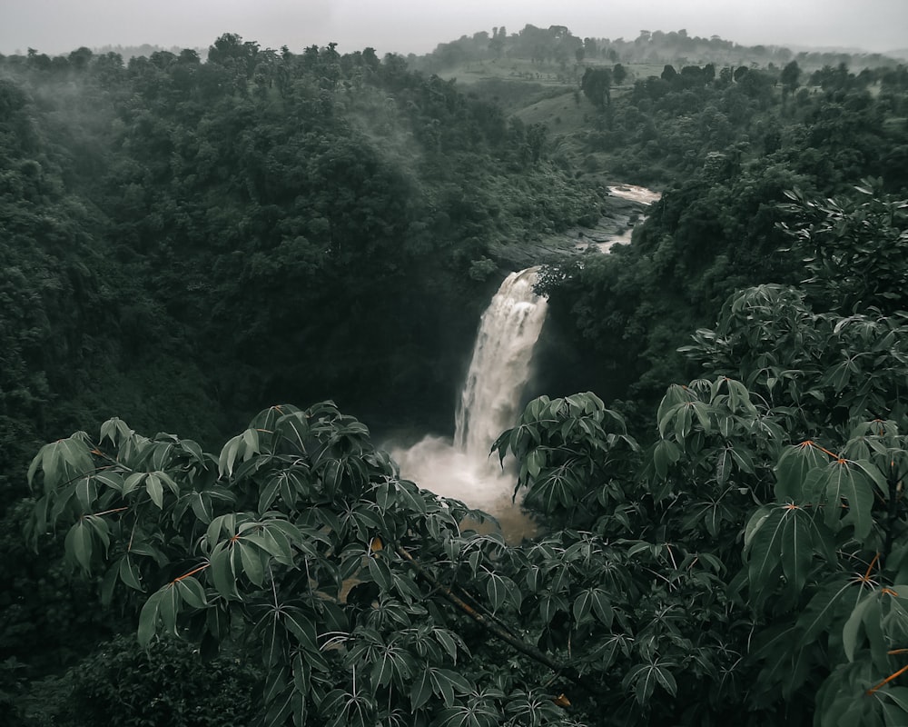 waterfalls in the middle of green trees