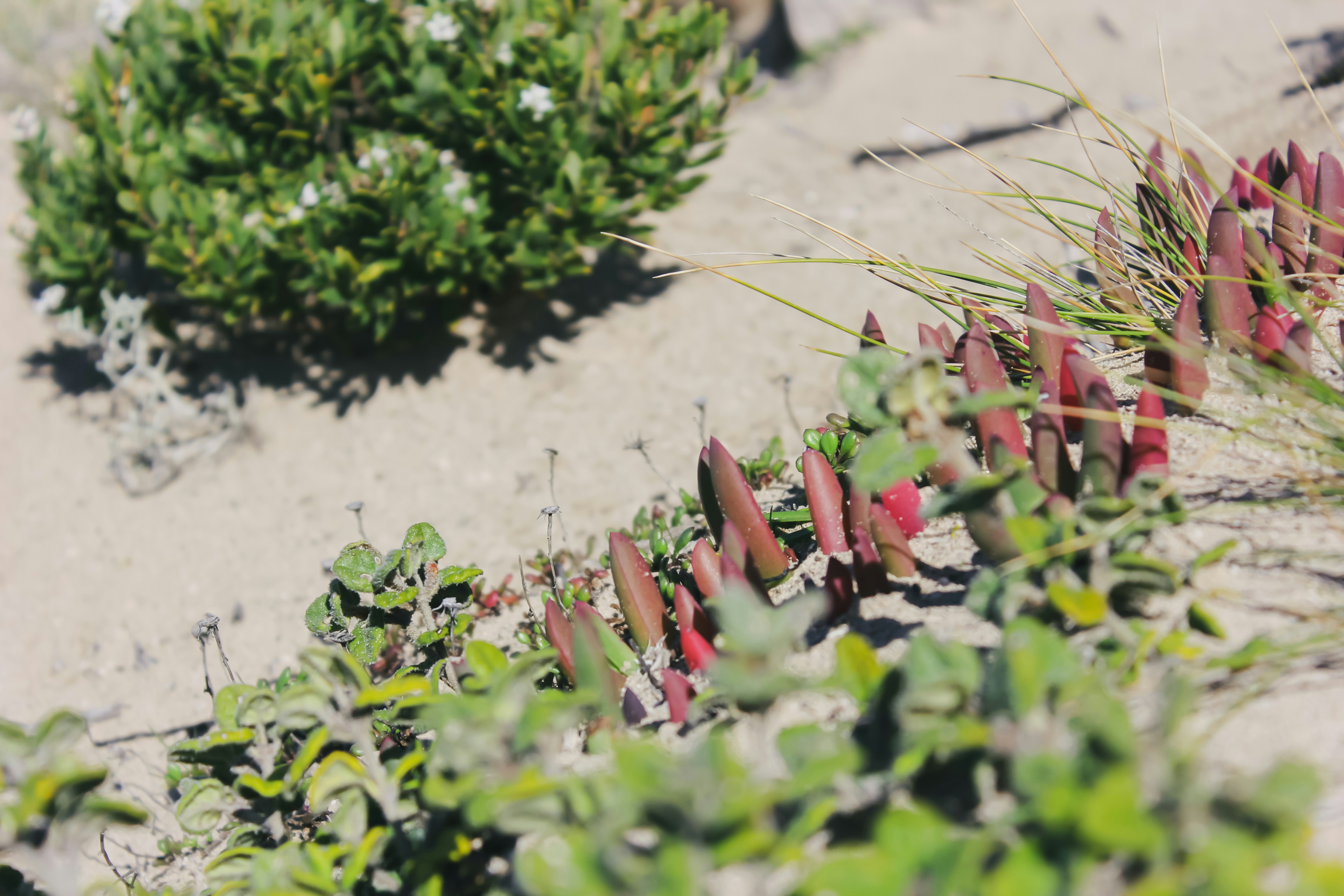 Pairing is asking for help