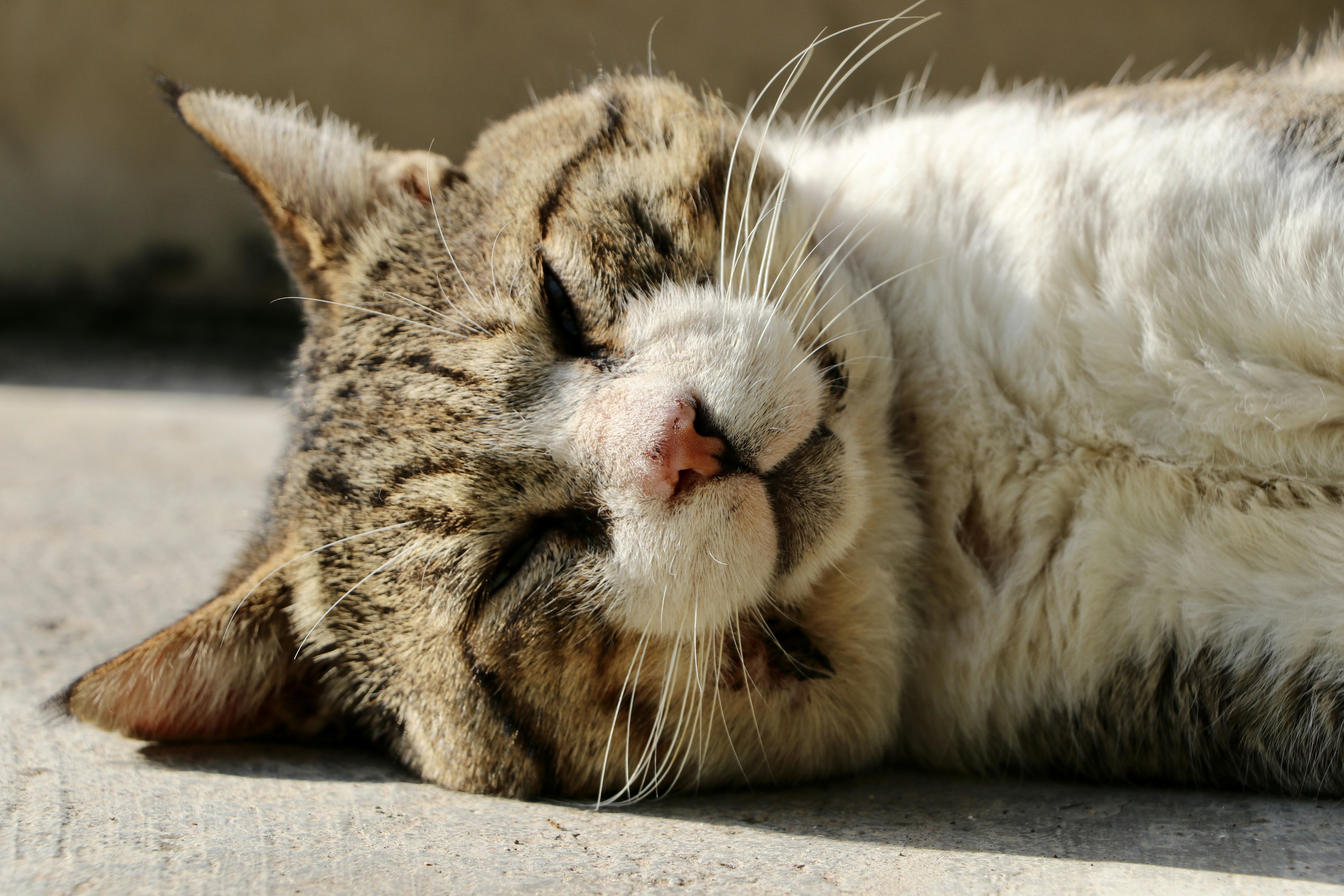 Photo by pooyanazarnia