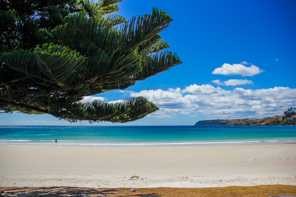 une vue d’une plage avec une personne marchant sur le sable