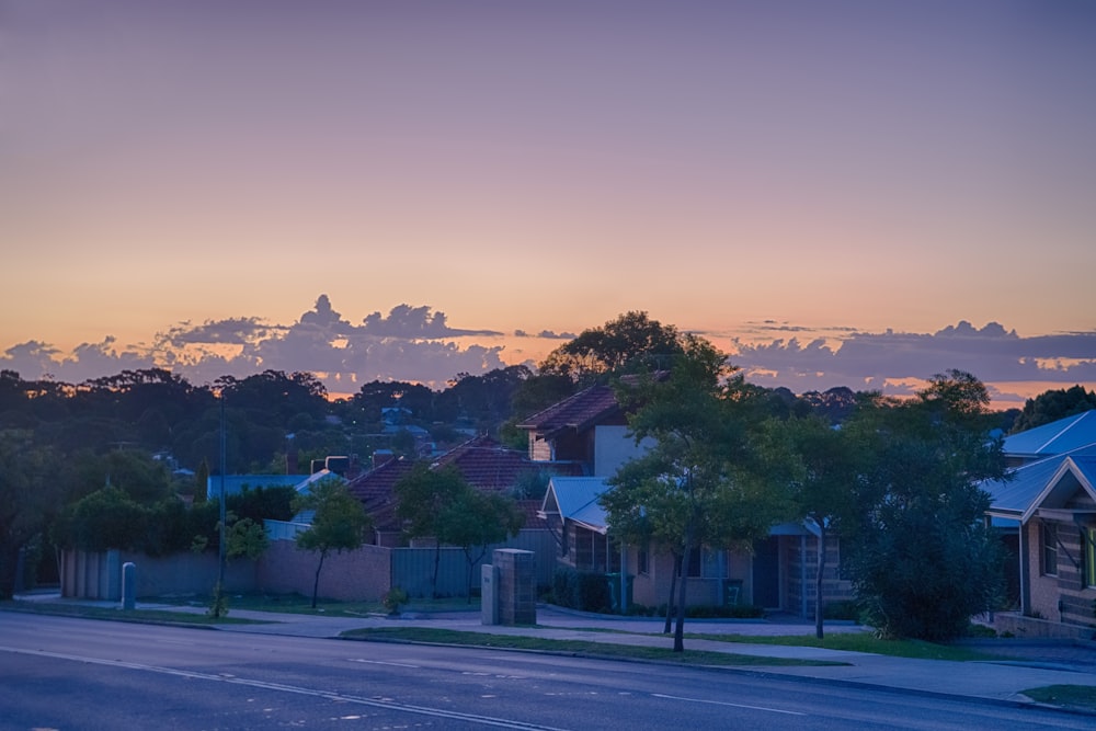 green trees near gray concrete road during sunset