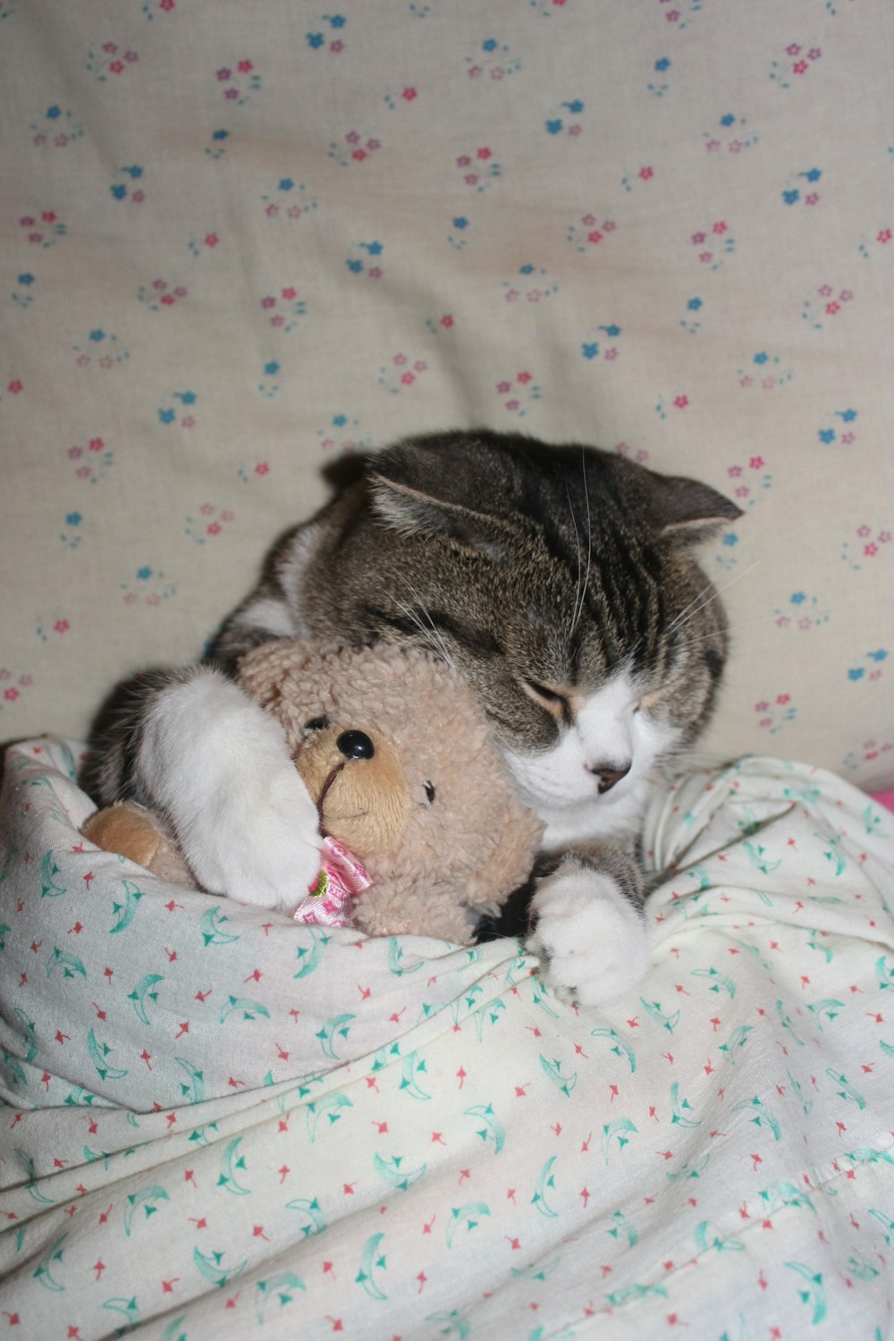 brown and white cat on pink and white polka dot textile