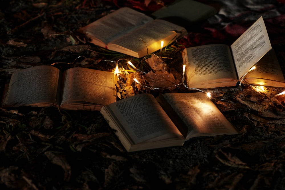 opened book on brown leaves