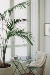 green potted plant on table