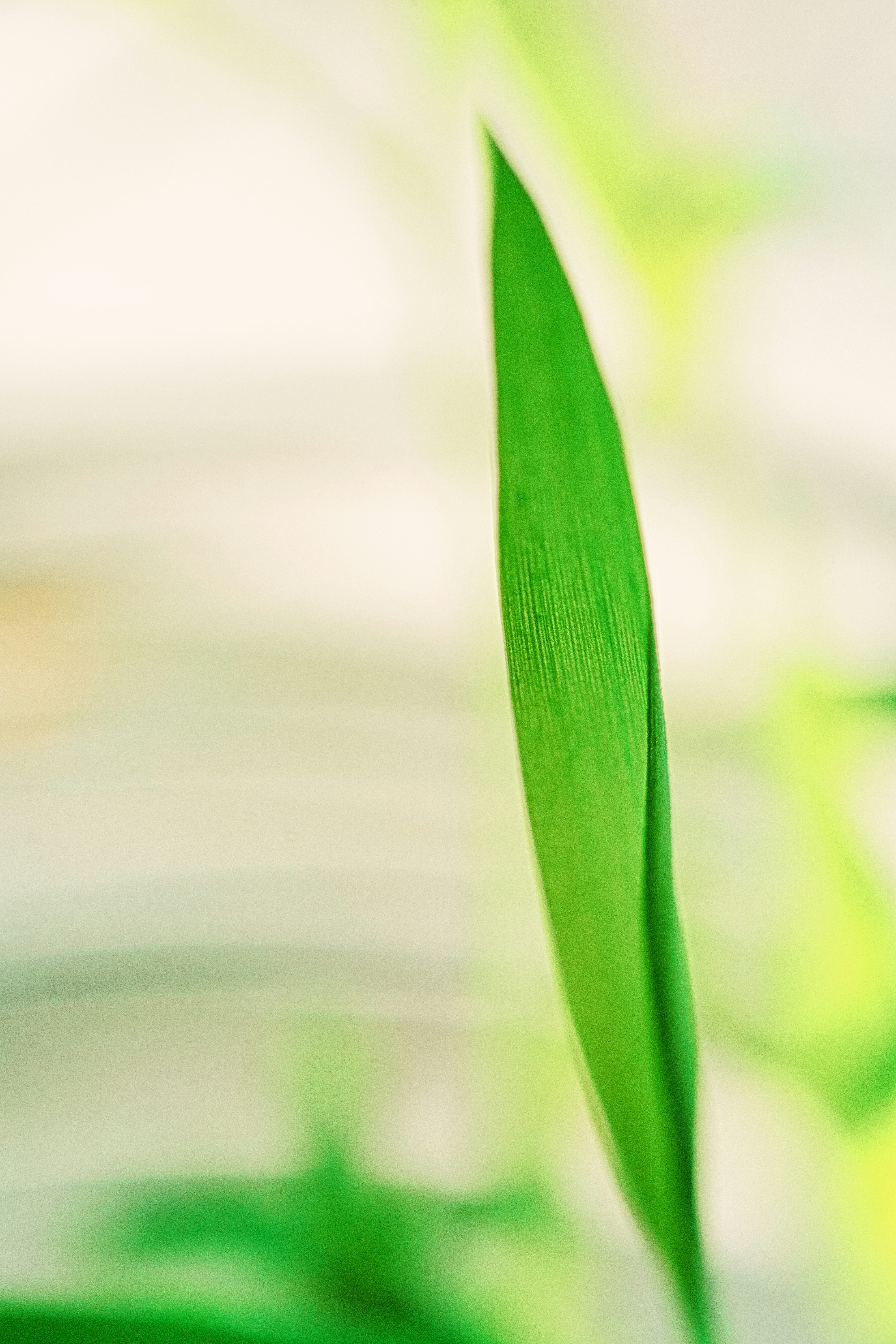 Photo by thomaskinto