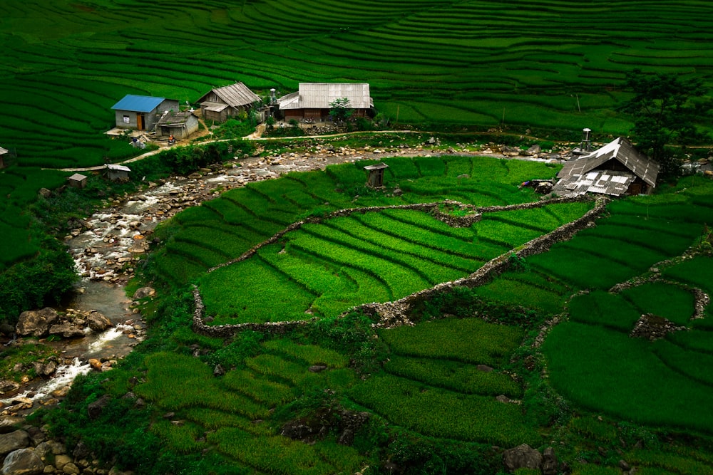 Vue aérienne d’un champ d’herbe verte