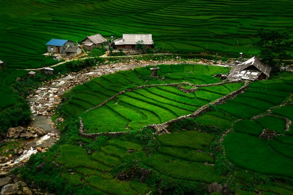 Top 10 Things to Do in Sapa and Beyond