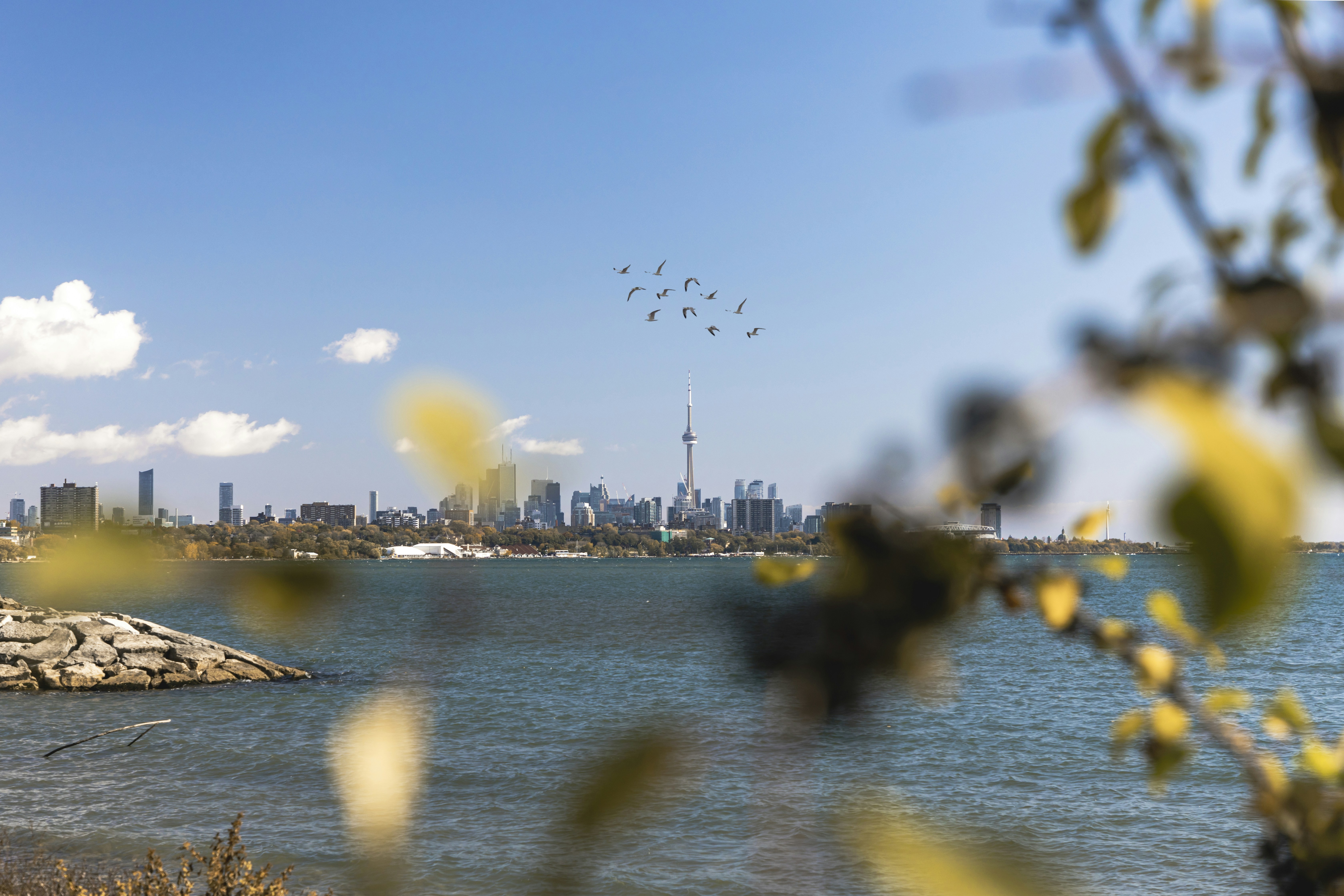 PPP after dark - three game night