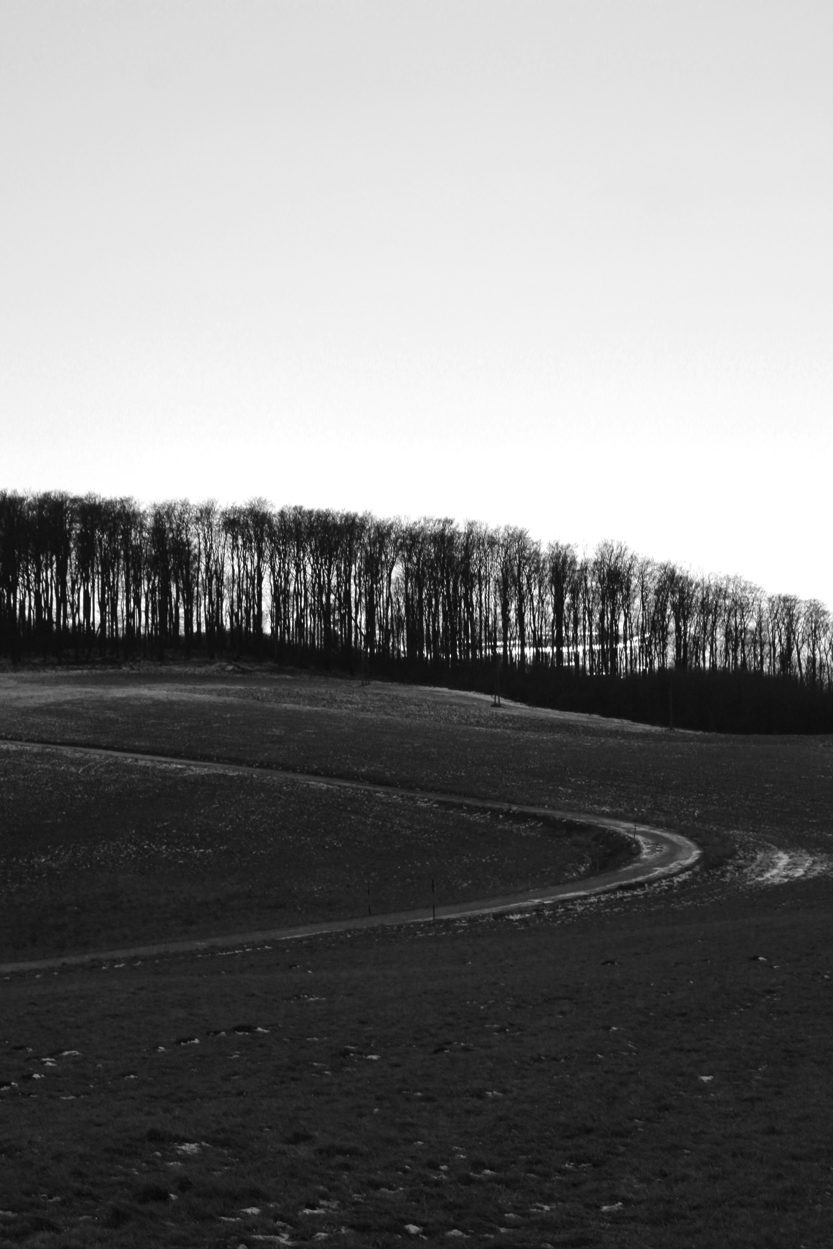 Photo by josharmstrong