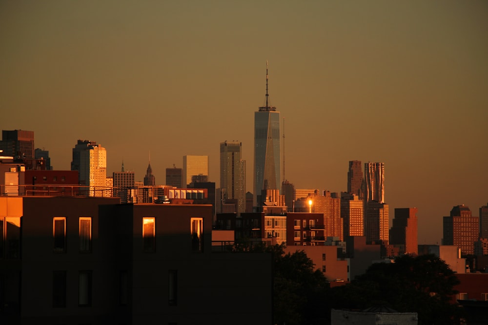 city skyline during night time