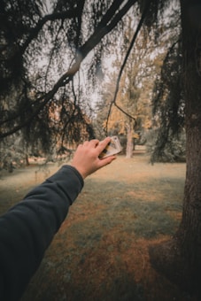 A hand holding a smartphone is extended towards a lush green landscape with tall trees. The image captures dappled sunlight filtering through the tree branches, creating a serene and peaceful atmosphere.