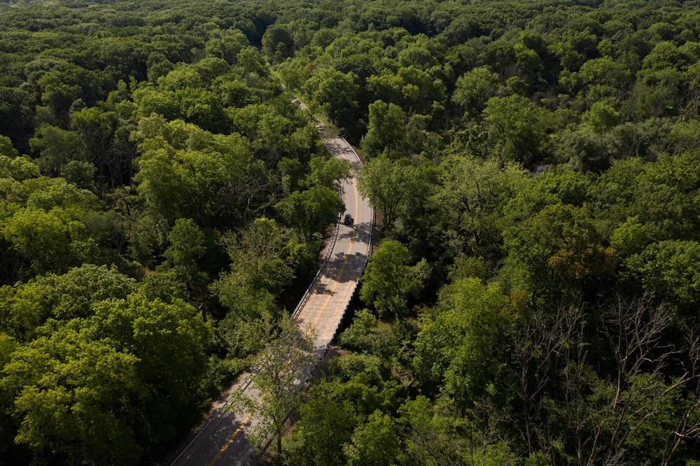 aerial view of green trees during daytime