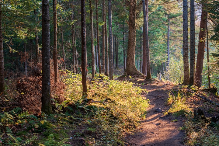 Coming Home to You: The Hiking Trip