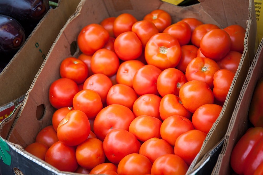 orange tomato on brown cardboard box