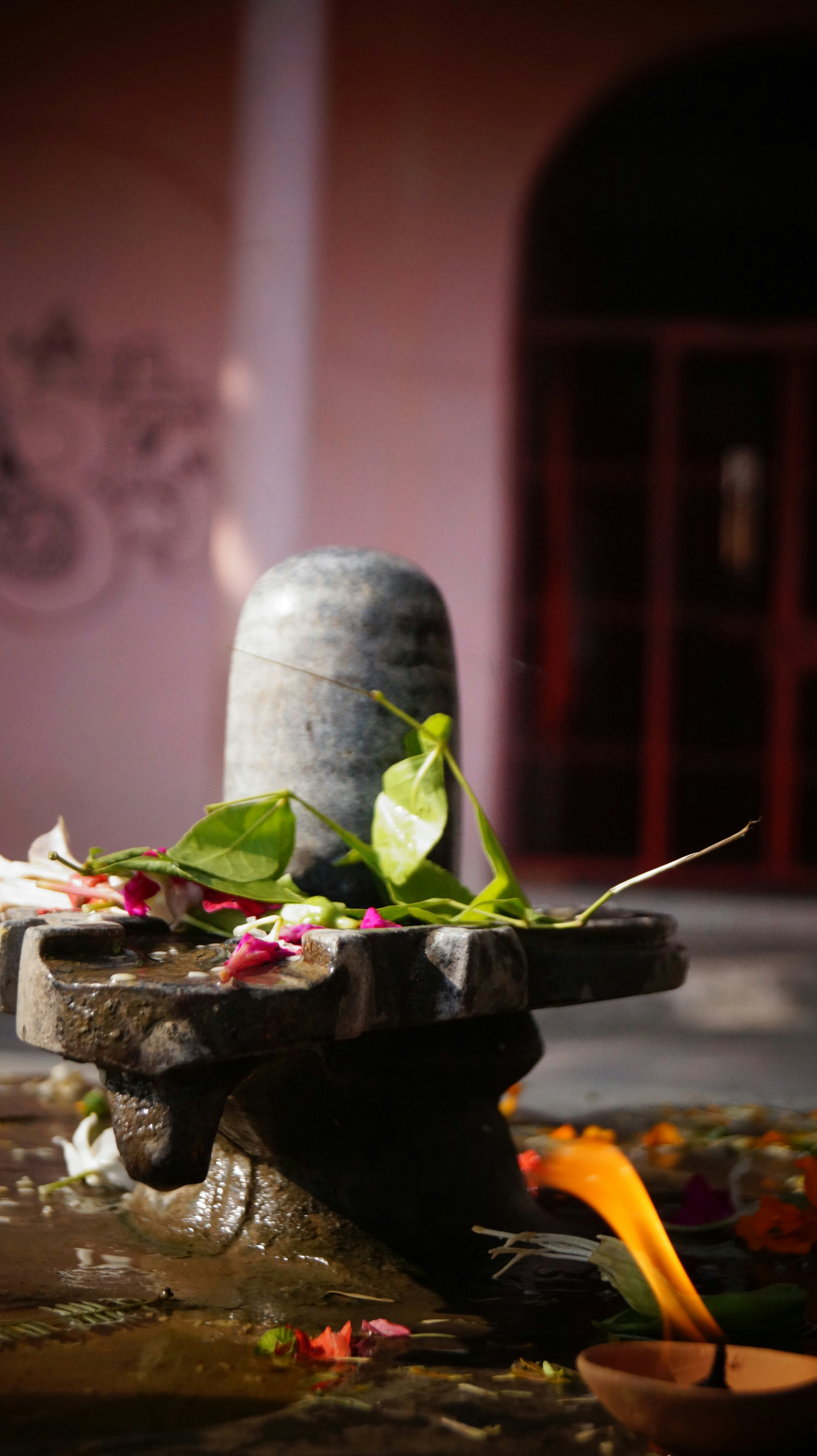 Photo by ishant_mishra54