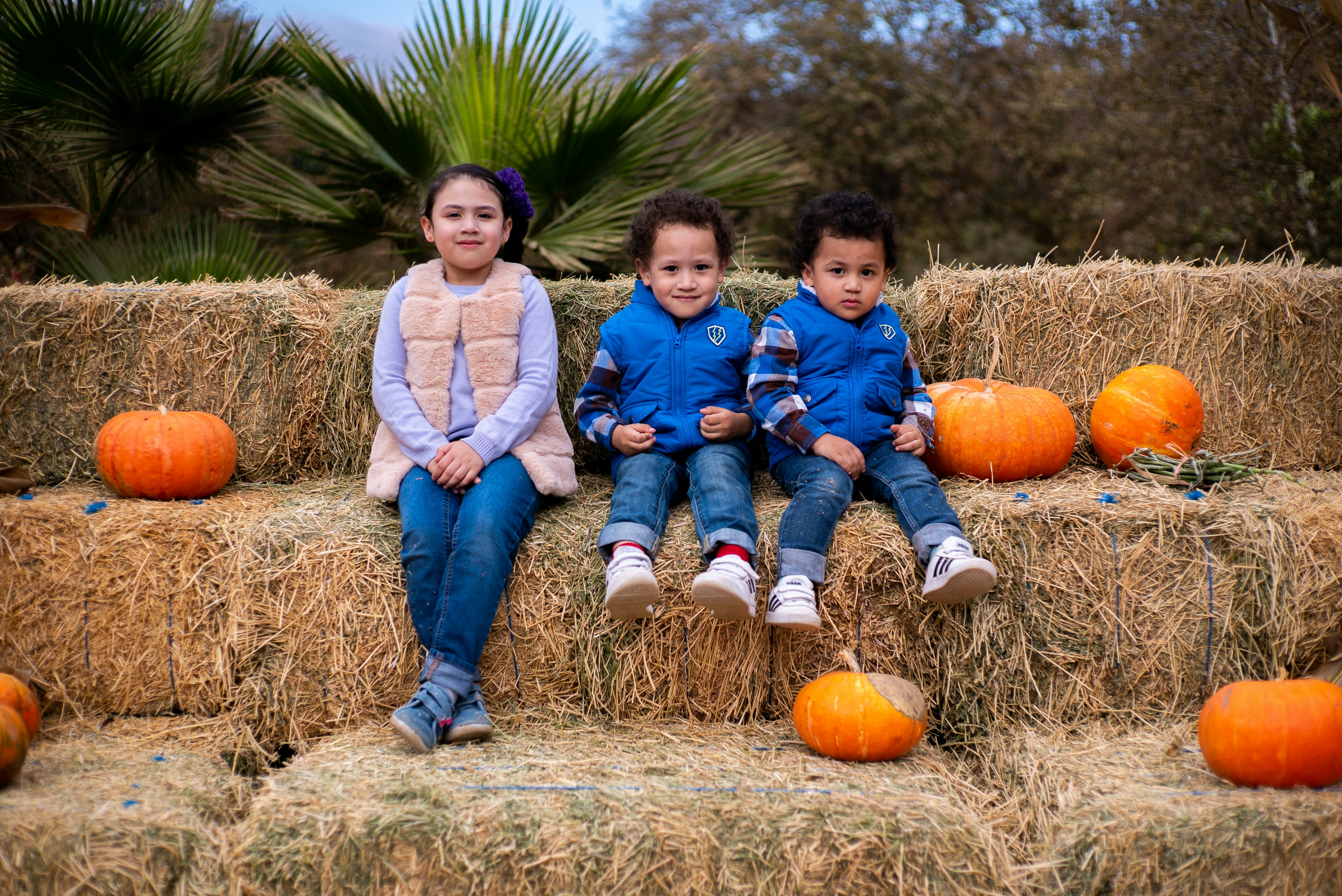 2 boys and 2 girls sitting on brown dried grass during daytime