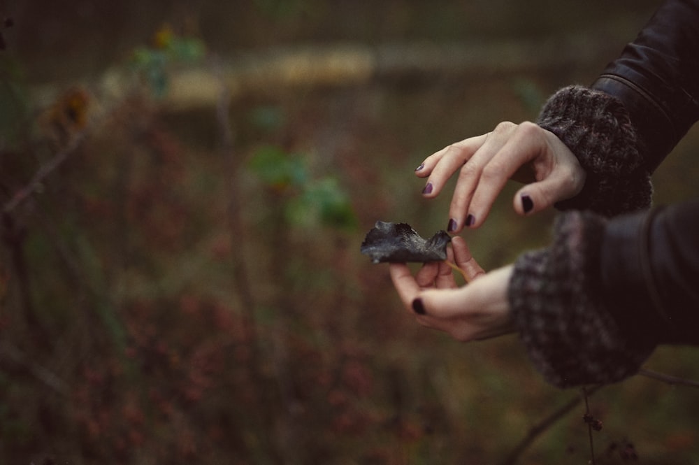 person holding black and gray frog