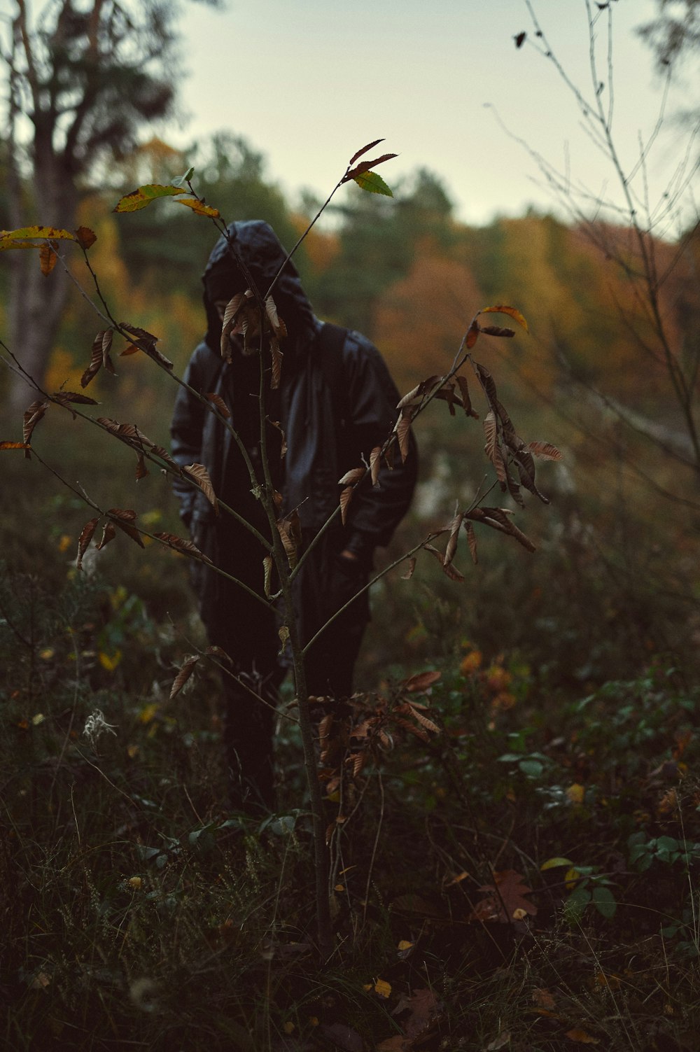 person in black jacket standing on green grass during daytime