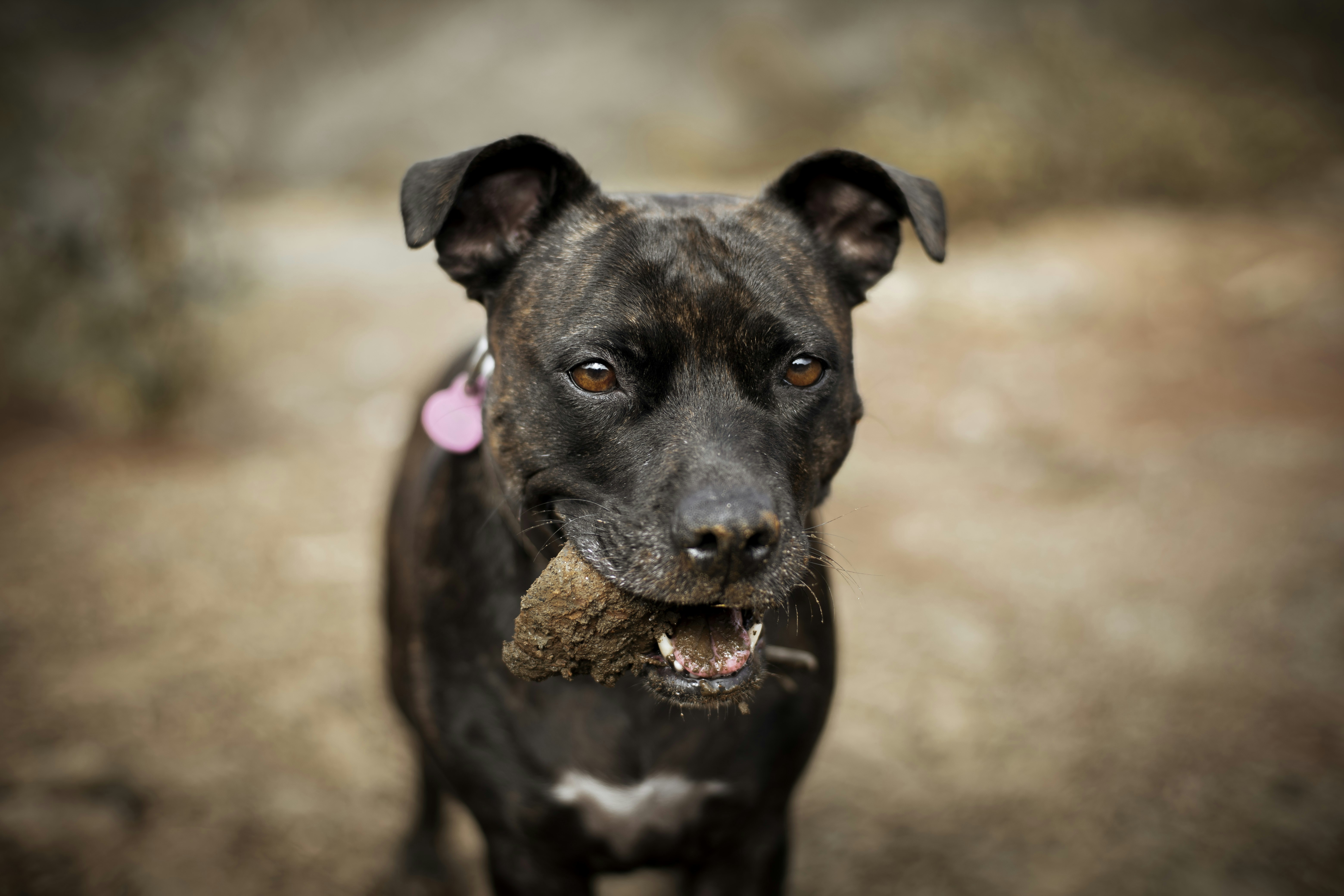 Photo by victor_vector