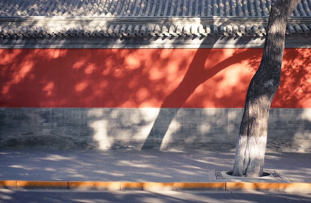 gray concrete road with white metal fence