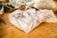 A neatly wrapped gift in a beige plaid fabric is topped with a small pinecone, placed on a wooden surface. In the background, there are blurred elements that suggest a natural or festive setting, possibly involving more gifts or decorative items.