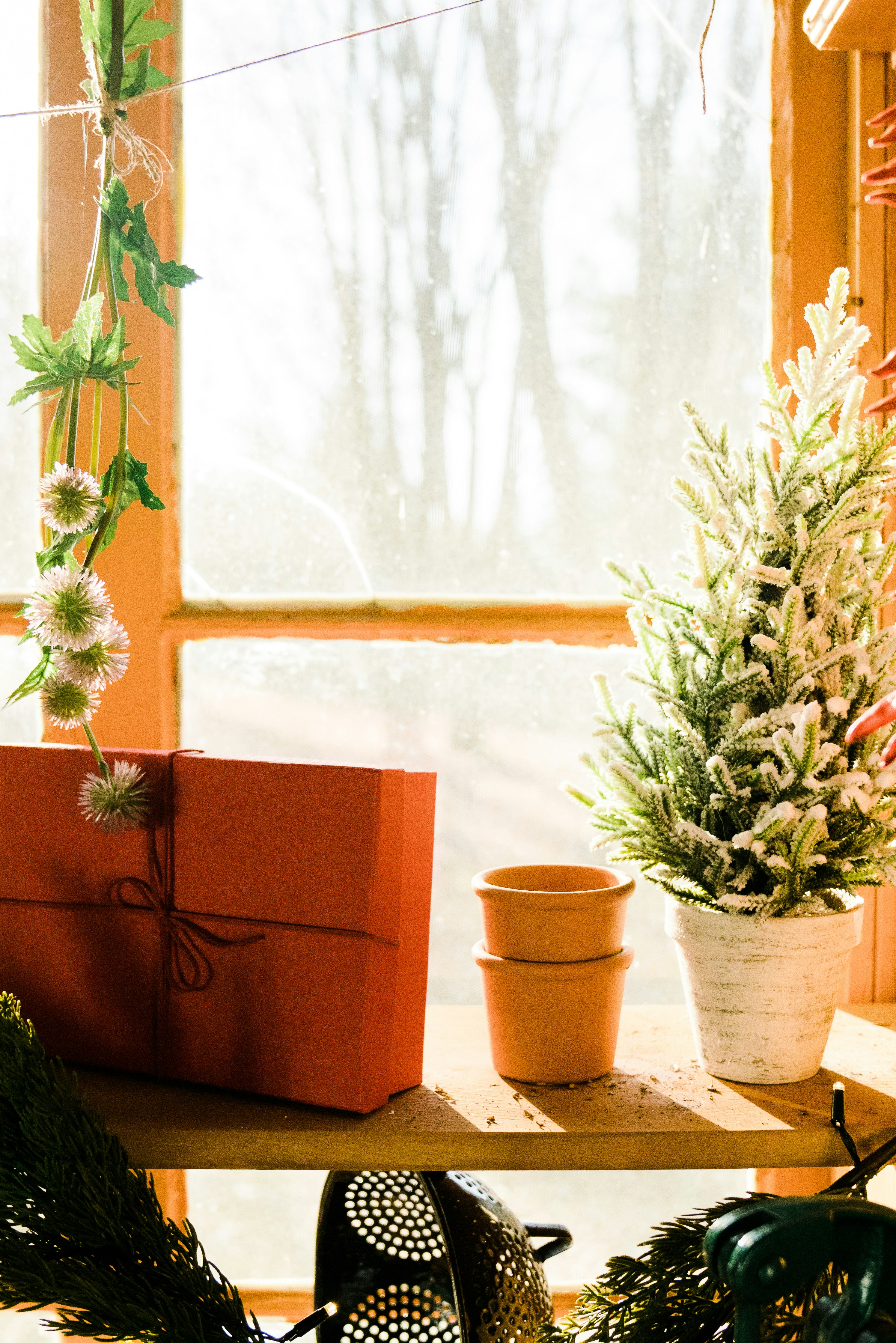 Seasonal Shifts: Elevate Your Home Decor to Sync with Nature