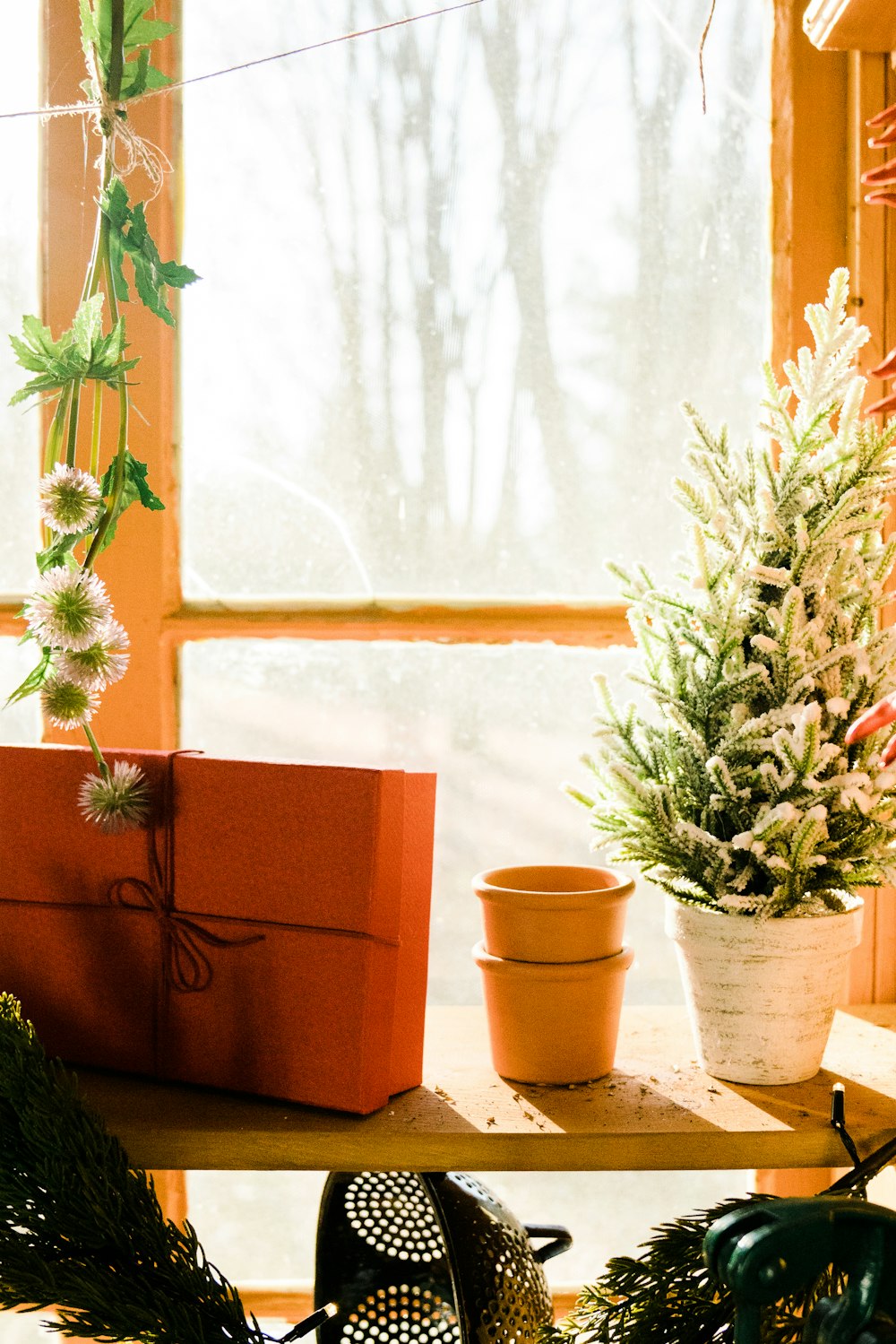 green plant on brown clay pot