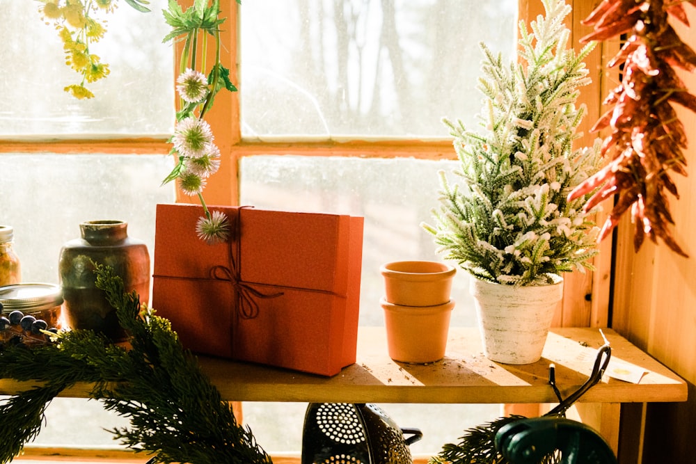 green potted plant on brown wooden table