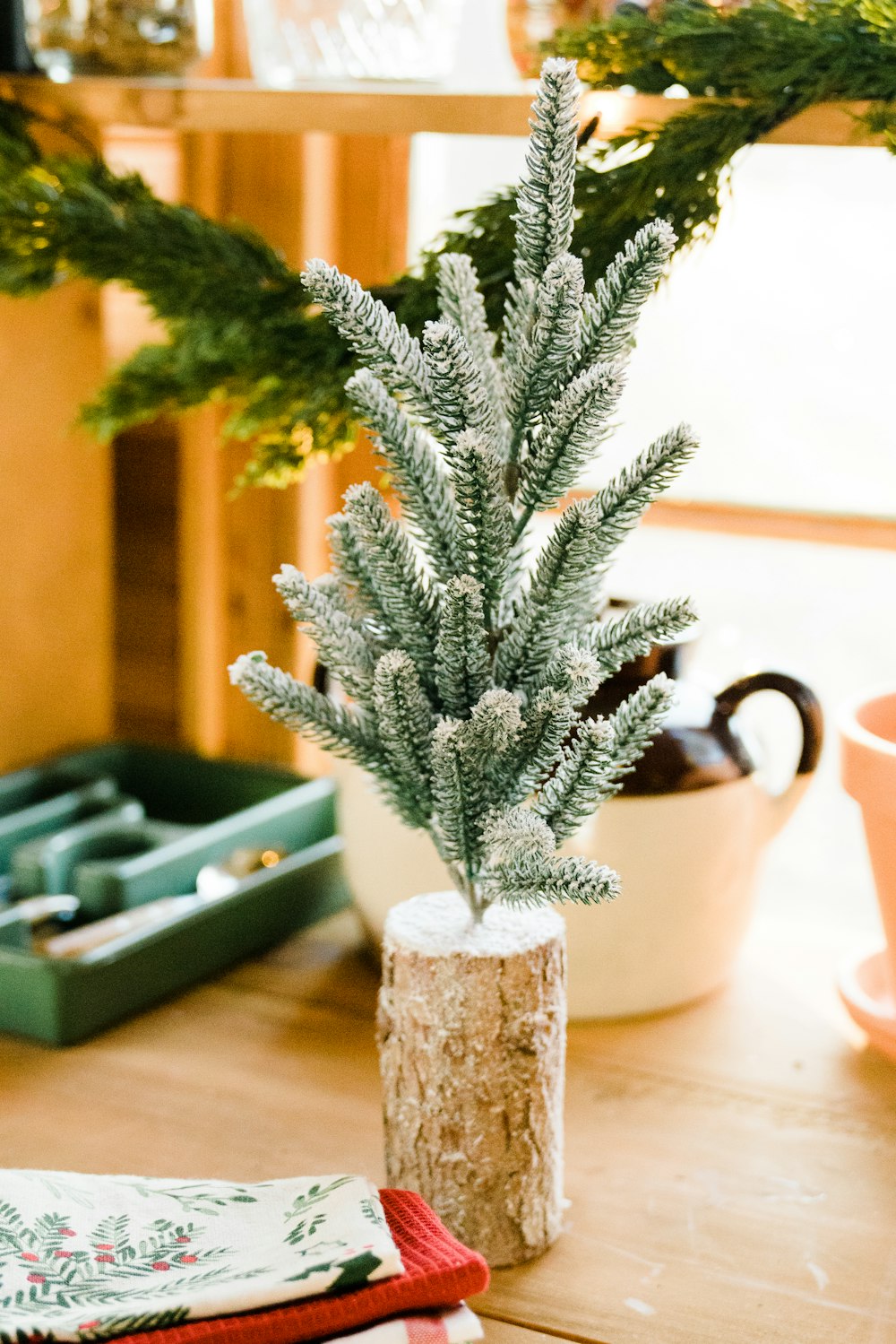 green pine tree on brown wooden table