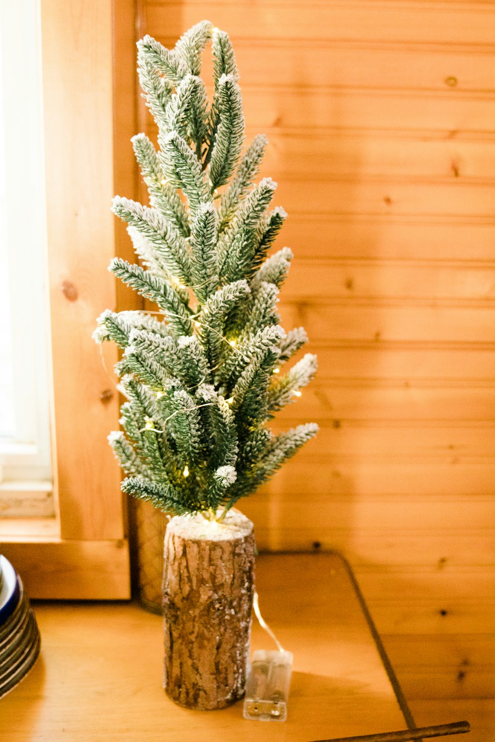 green and white plant on brown wooden table