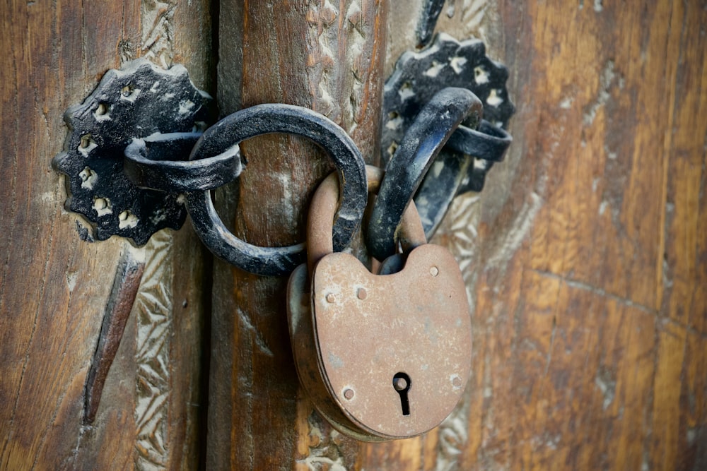 grey padlock on brown wooden door