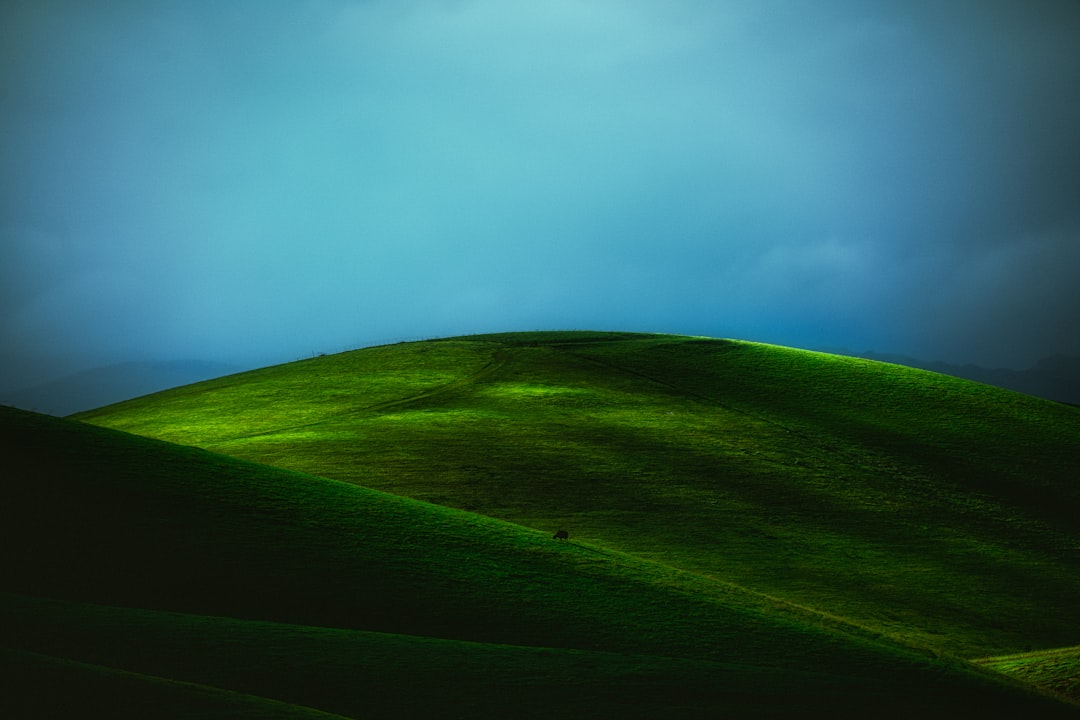 green grass field under blue sky