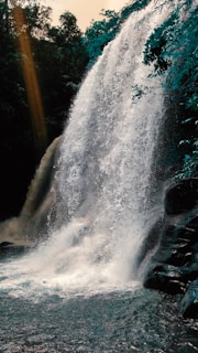 A vibrant waterfall cascading through a lush green forest, sunlight filtering through the trees.