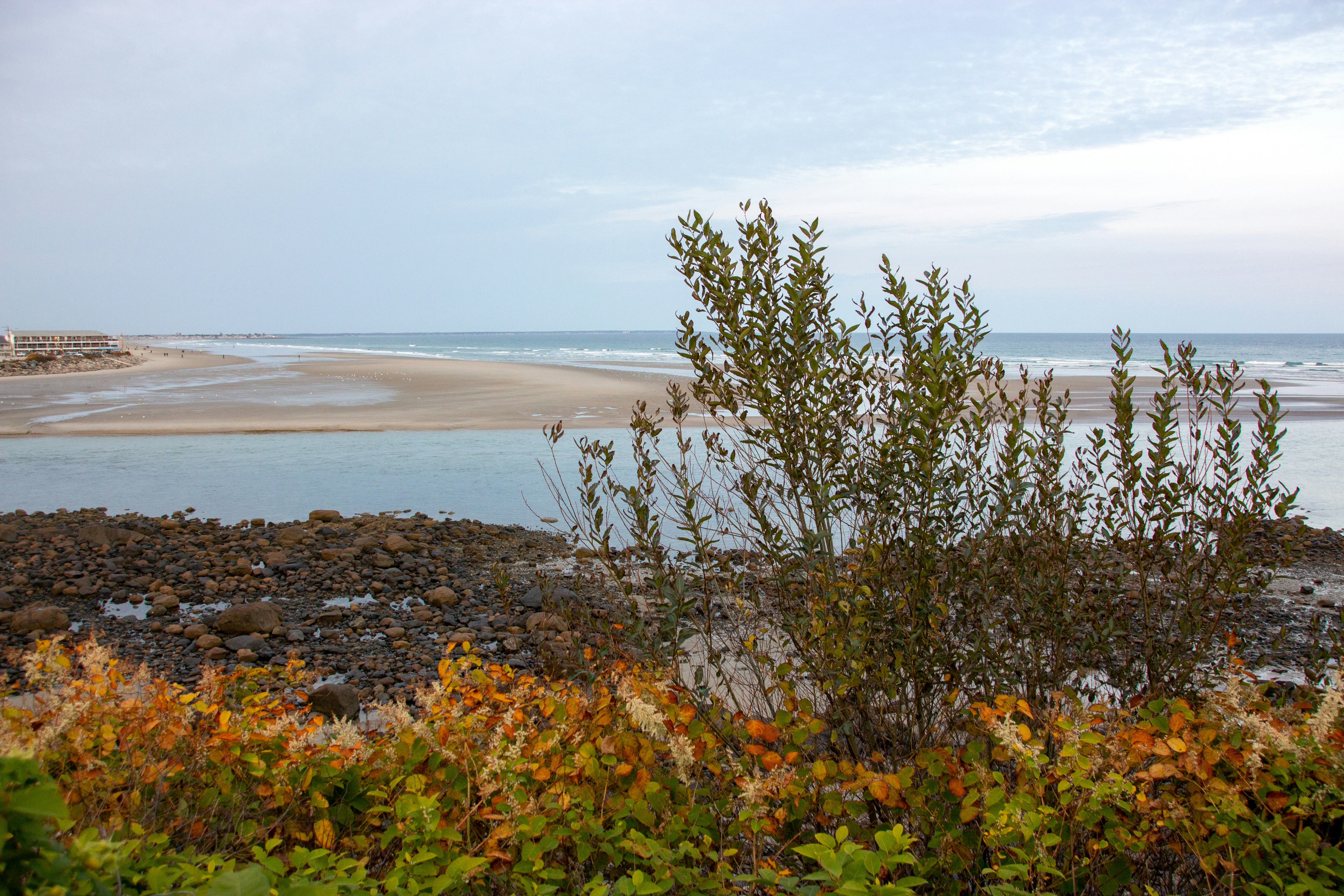 A Year on the Texas Coast: What Each Season Really Feels Like