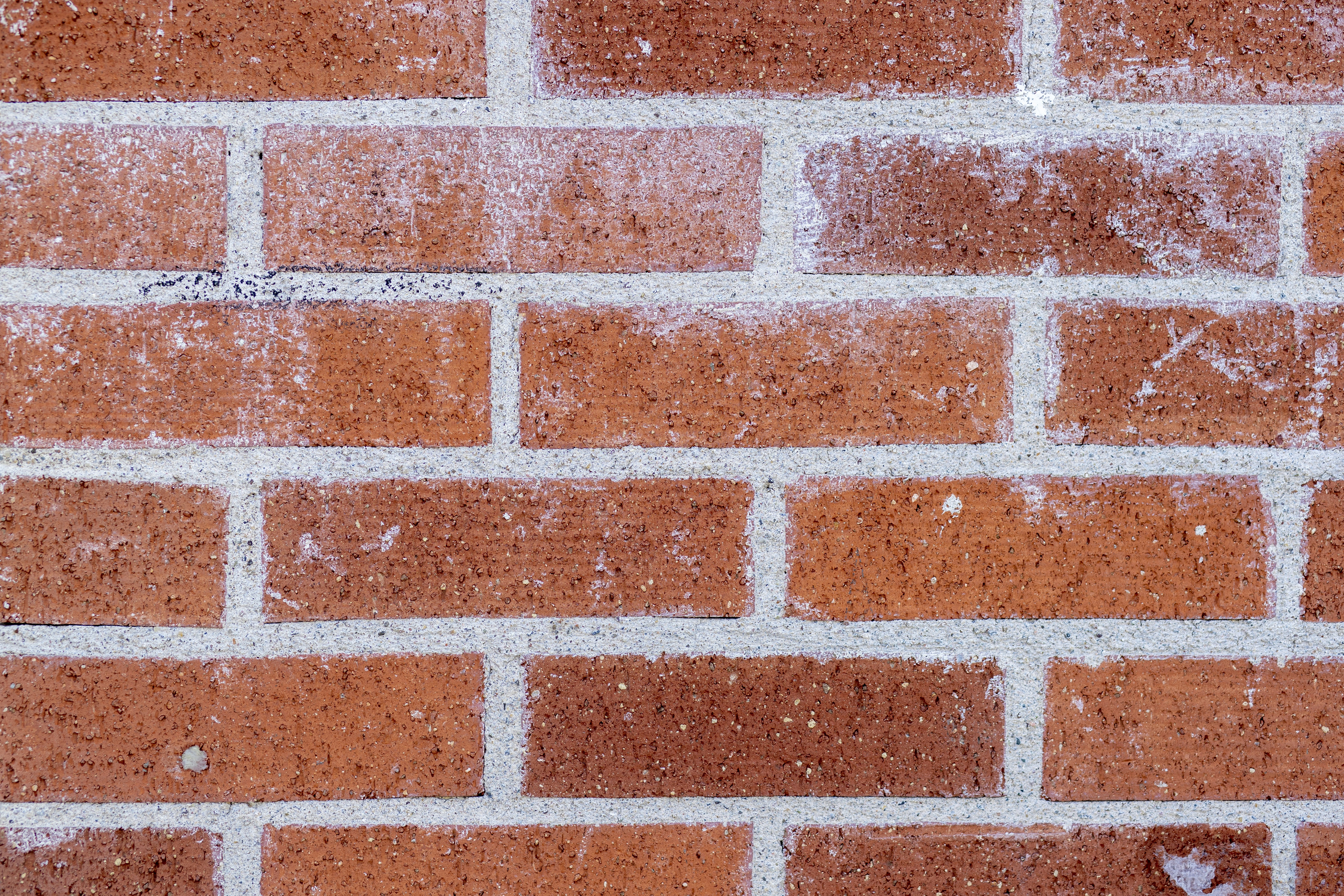 Photo by denisseleon