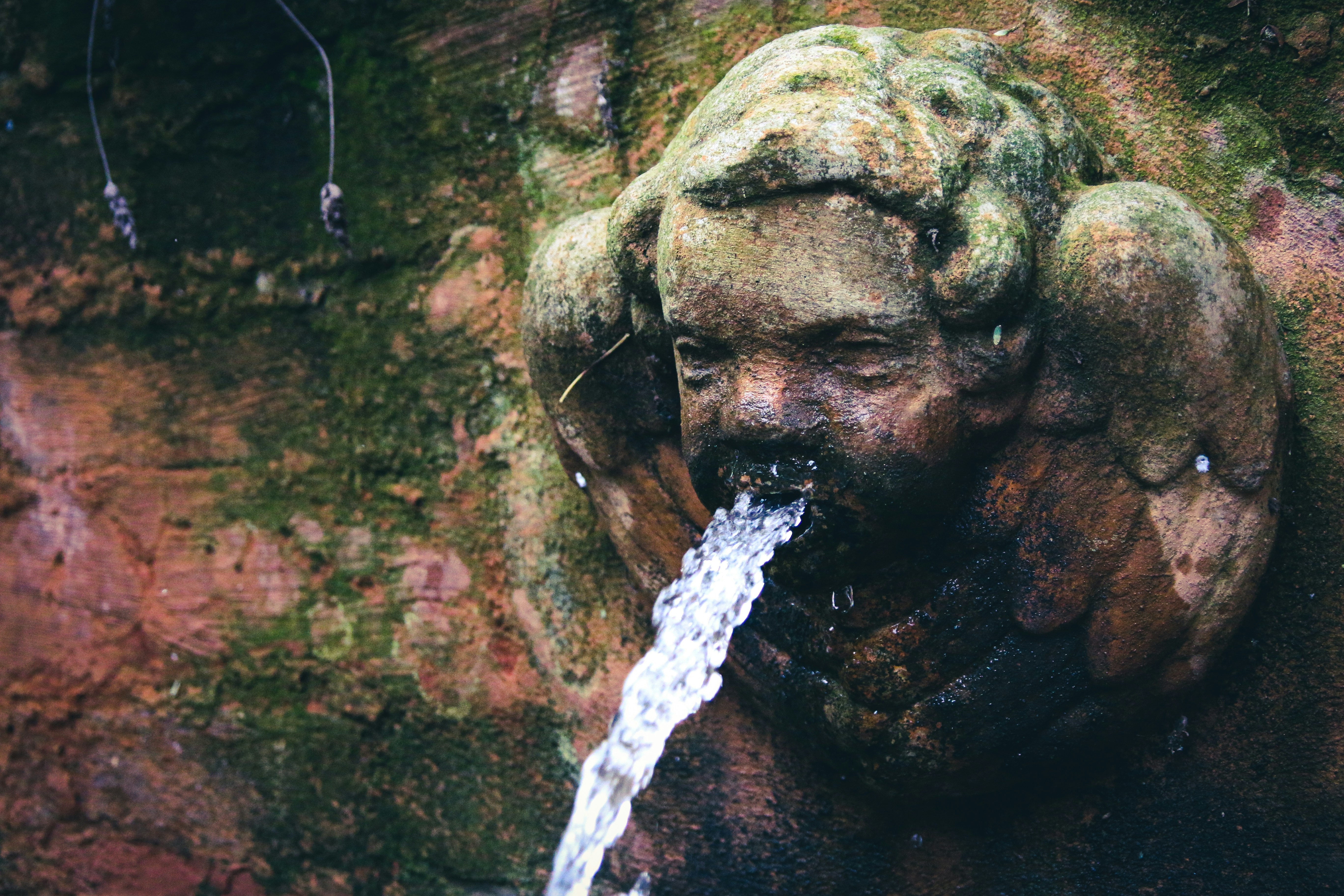 water feature