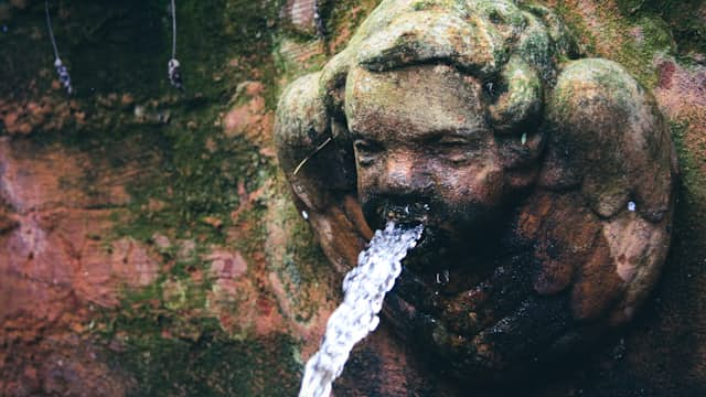 Drinking Fountain