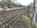 A cultivated garden plot with neat rows of young plants growing in rich, dark soil. Drip irrigation lines run parallel to the rows. In the background, there are stone edges, garden pots, and various garden equipment scattered around. The scene is enclosed by a wire fence with a natural landscape of trees and hills in the distance.