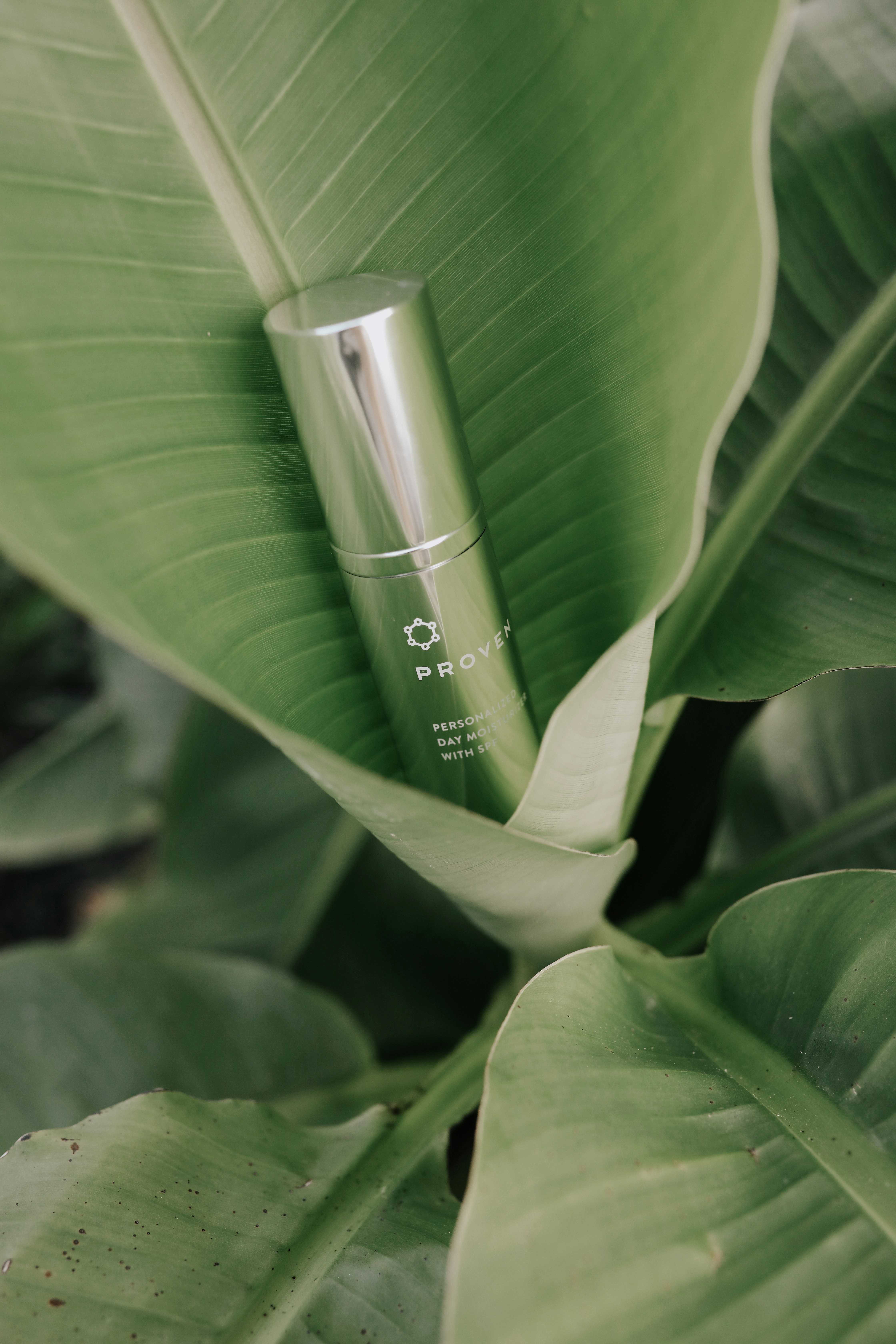 gold tube on green leaf