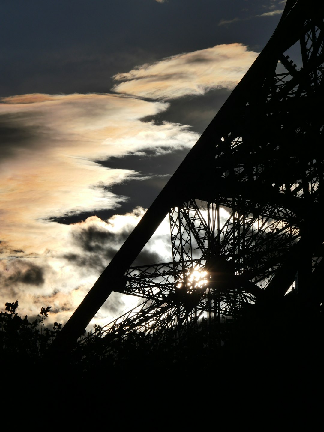 silhouette of trees under cloudy sky during sunset