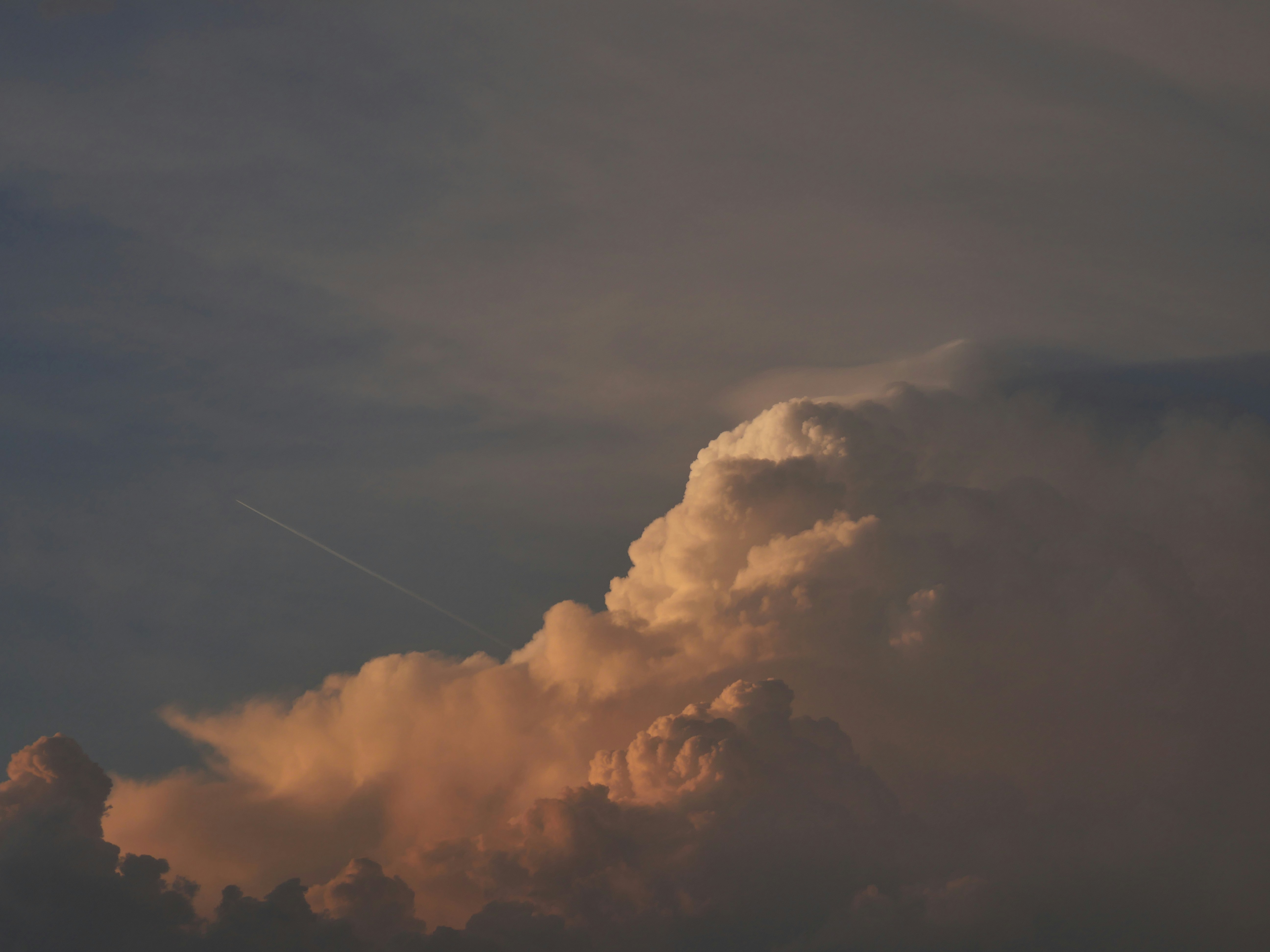 Photo by nimbus_vulpis