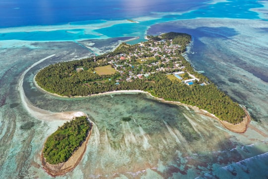 aerial view of green trees and body of water during daytime in Kinbidhoo Maldives